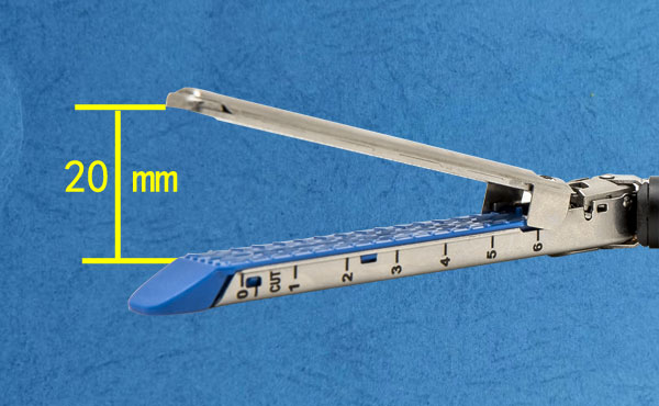 Linear Cutting Stapler and Components Under Endoscope